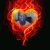 11st01 profile picture