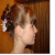 member _Angel_
