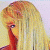member _Nina