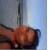 member ARENDY
