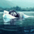 Aariana profile picture