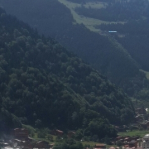 Alemdar_9323
