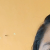 Alexandra_Lu profile picture