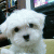 Alice151 profile picture