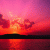 Amra_37 profile picture