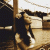An_Ro profile picture