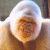 Andrewsir profile picture