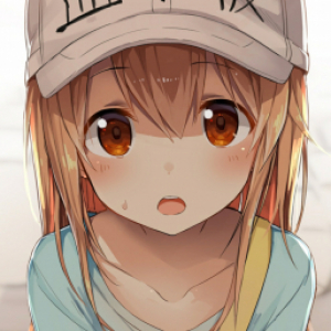 Anikki