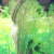 member AnnaPanfilovich