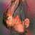 member a_11_22_33