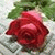 member aali00845