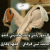 member abinalsaqqaf