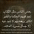 member abo_alabed
