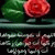 member abomotaz19