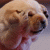 achnirvana profile picture
