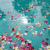 acz profile picture