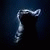 member adil_justu