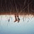 member agata_fila