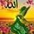 member ahmad_aliy