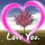 member ahmad_saae