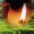 ai_gu profile picture