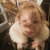 member ajisai2580
