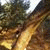 member akram_abbo