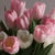 member alaa_yasen