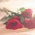 member alaa_yasin