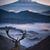 member alan_desid