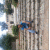 member alan_kheraldin