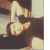 member albrozmx