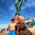 member aldo_camac