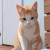 member alex_barbe
