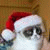 member alex_elgat