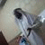 member alfaresalw