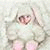 member alia_hamma