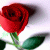 member alizaib