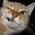 ambiion_fa profile picture