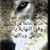 member amer_ghane