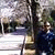 member amir_masou2