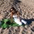 member andrea_sot