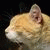 andres_cos profile picture
