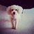 andrey_and profile picture