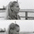 andrijana_ profile picture