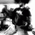 member angel_carp