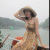anhthu profile picture