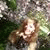 member anna_muzyk