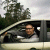 anton_ALABUZHEV profile picture