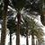 member aqee_ali